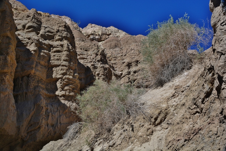 inside the slot canyon